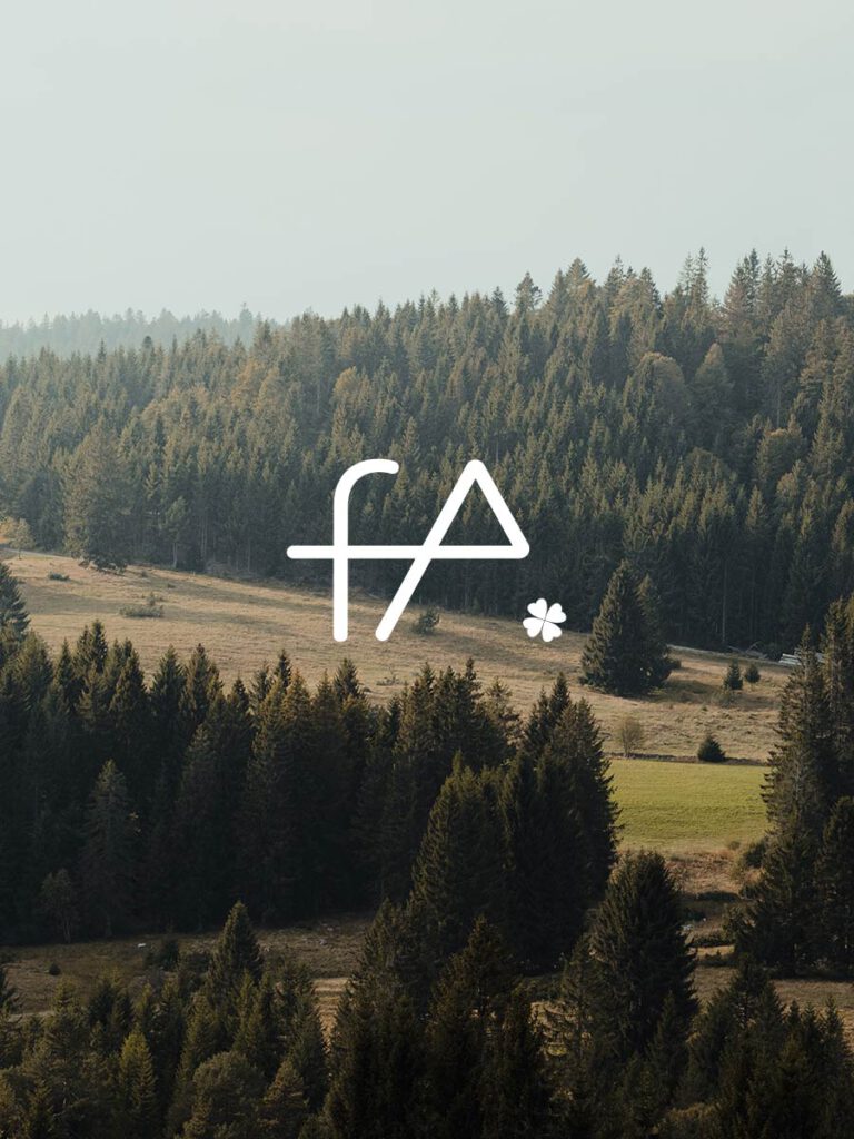 faller-idnty-case-1