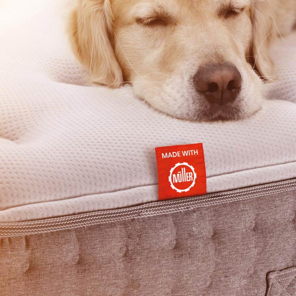 JM_Cases_Bildsprache_4_quadratisch